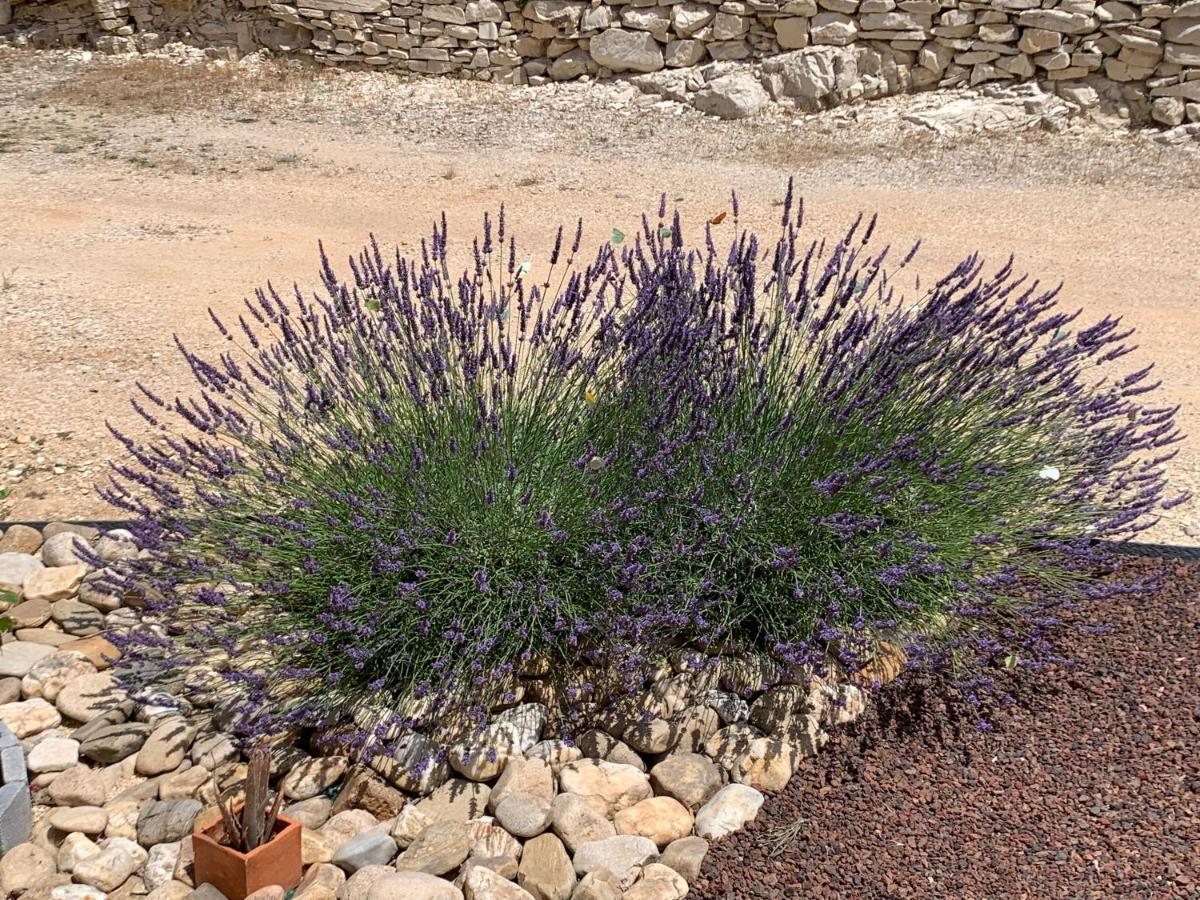 Au Fil Des Cevennes Bed & Breakfast Saint-Jean-de-Maruejols-et-Avejan Exterior photo
